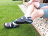Крокс Классік Сандалі Чорні Crocs Classic Sandal All-Terrain Black / Oxygen