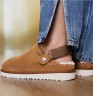 Угг Шльопанці Сандалі Руді (Рижі) Замшеві Ugg Goldenstar Clog Chestnut