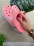 Крокс Крокбенд Клог Рожеві Crocs Crocband Melon/Ice Blue Clog