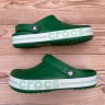 Крокс Баябенд Клог Зелені Crocs Bayaband Clog Kelly Green